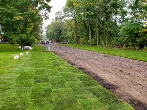 Professional Site Restoration Services by TAW Landscape.